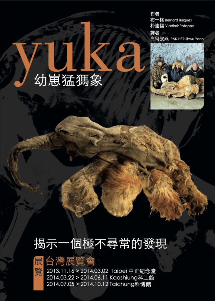 Yuka book in Chinese